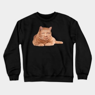 Eckcat Tolle Zen Master Cat Eckhart Tolle Crewneck Sweatshirt